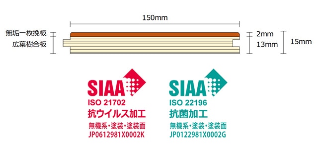 シェールフォレ複層フローリングの断面図
