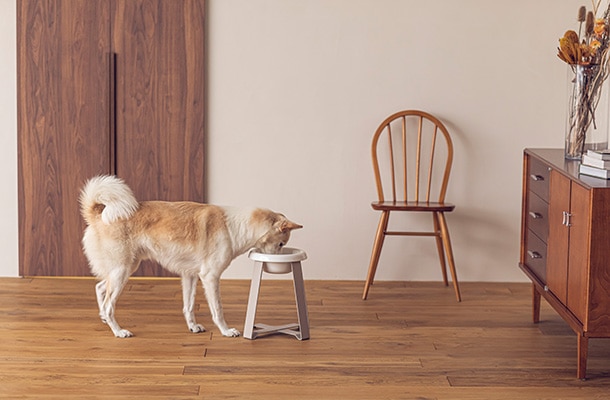 フードスタンドのある空間01