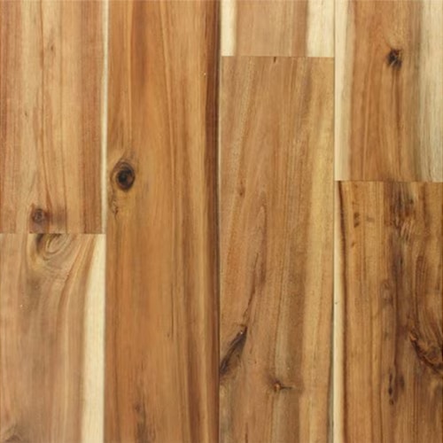 ワイルドアカシア