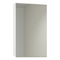 ステムズミラーボックス