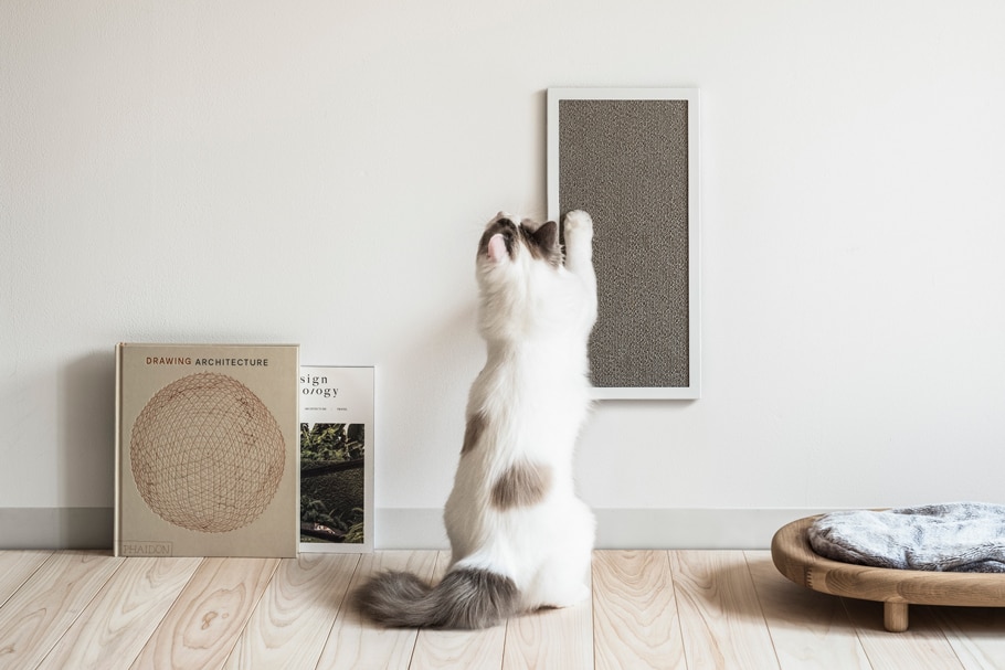 動物,犬,猫,しつけ,飼い方,育て方,病気,健康