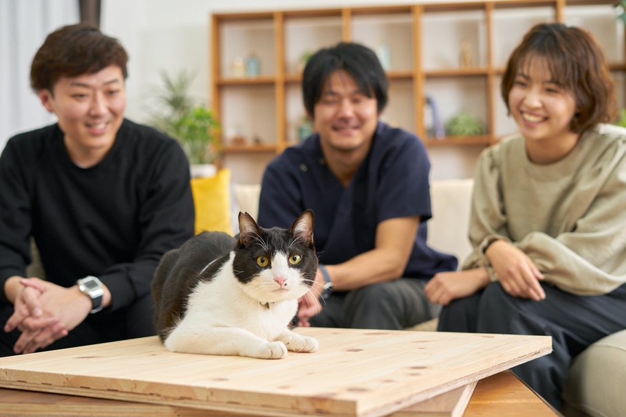 動物,犬,猫,しつけ,飼い方,育て方,病気,健康
