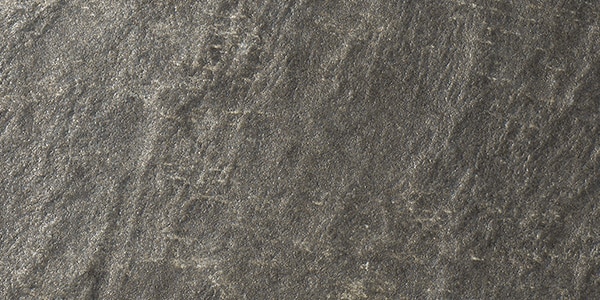 ネロ（拡大写真）