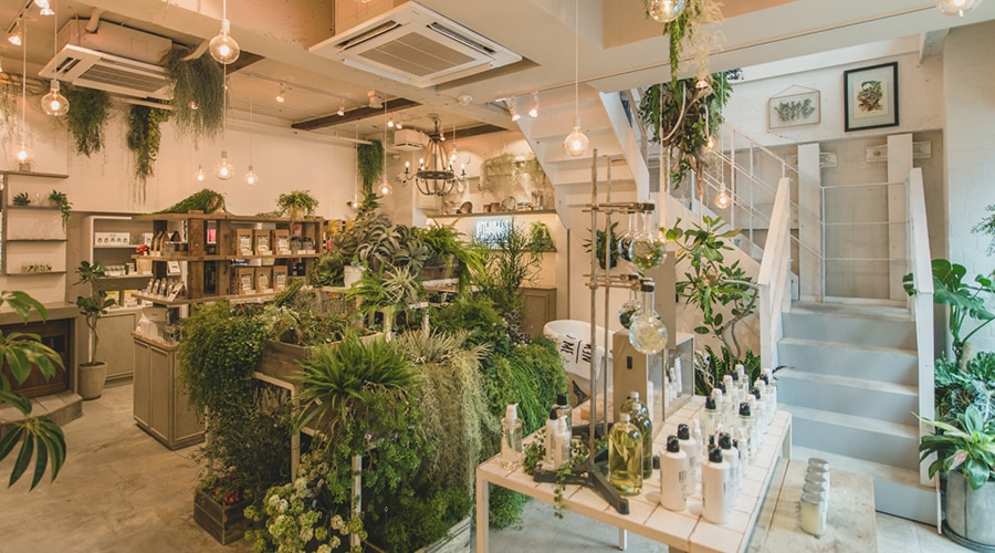納入事例　BOTANIST Tokyo様