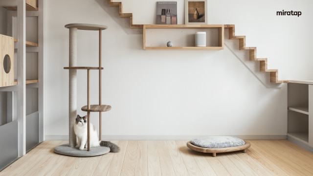 ビデオ通話用背景・猫の爪とぎ